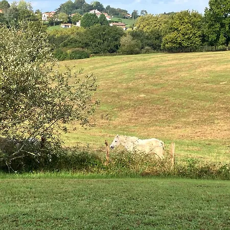 Villa Arcangues Willa Arcangues